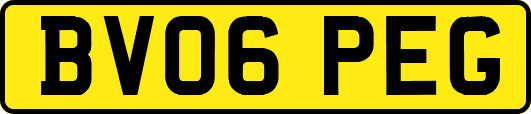 BV06PEG