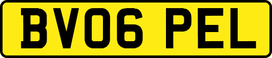 BV06PEL