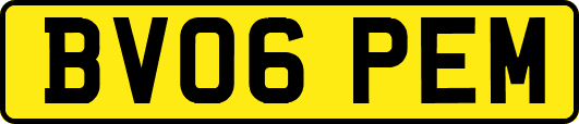 BV06PEM