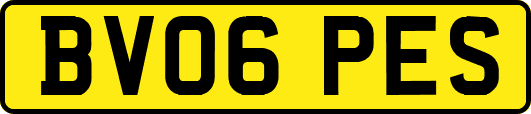 BV06PES