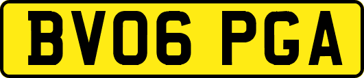 BV06PGA