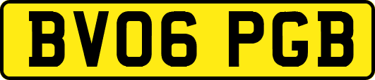 BV06PGB