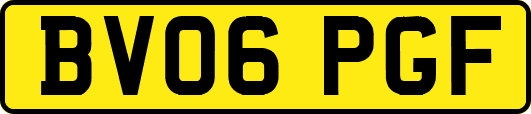 BV06PGF