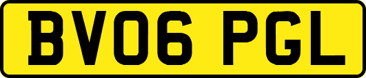 BV06PGL