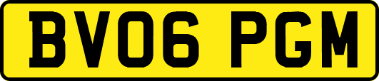 BV06PGM