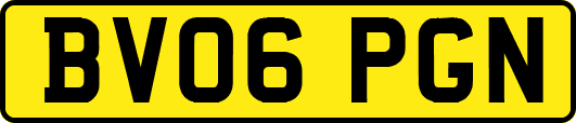 BV06PGN