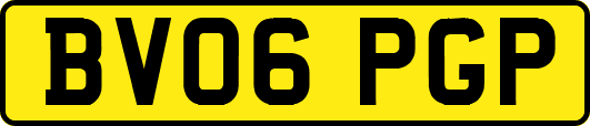 BV06PGP