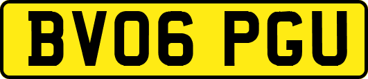 BV06PGU