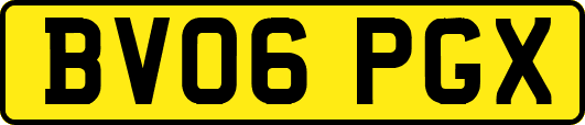 BV06PGX
