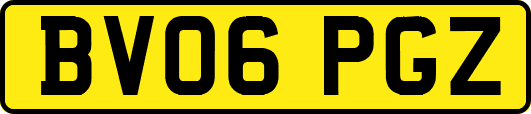 BV06PGZ