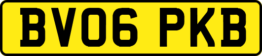 BV06PKB