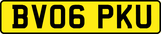 BV06PKU