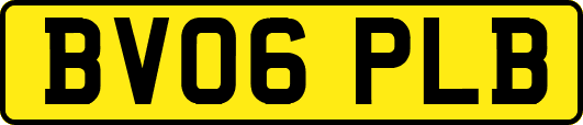 BV06PLB
