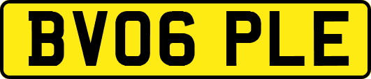 BV06PLE