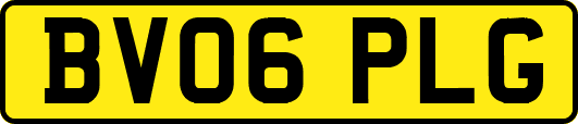BV06PLG