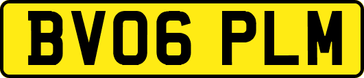 BV06PLM