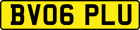 BV06PLU