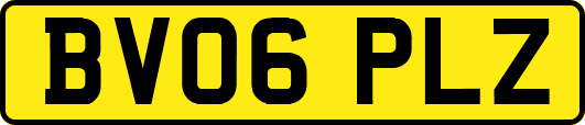 BV06PLZ
