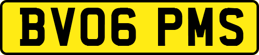 BV06PMS