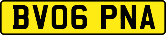 BV06PNA