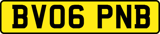 BV06PNB