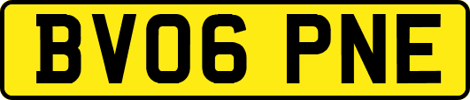 BV06PNE