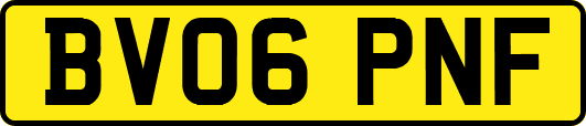 BV06PNF