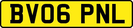BV06PNL