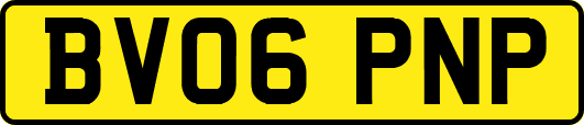 BV06PNP