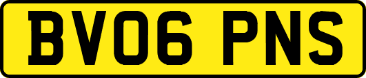 BV06PNS