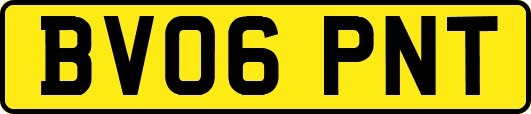 BV06PNT