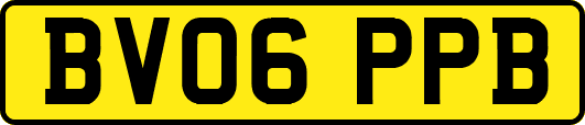 BV06PPB