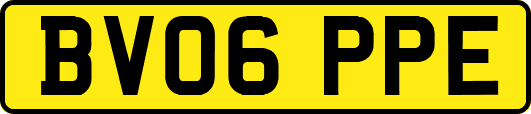 BV06PPE