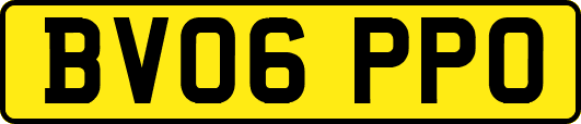 BV06PPO