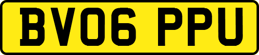 BV06PPU