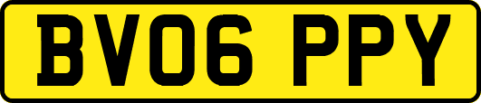 BV06PPY