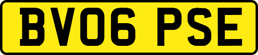 BV06PSE