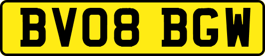 BV08BGW