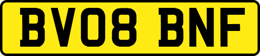 BV08BNF