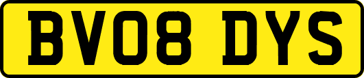 BV08DYS