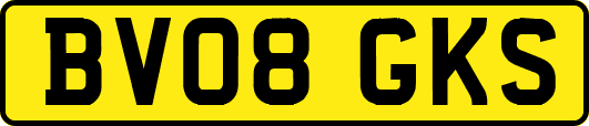 BV08GKS