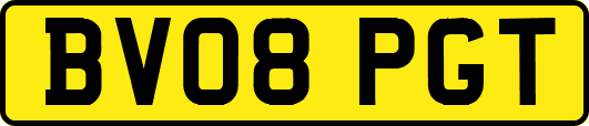 BV08PGT