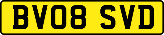 BV08SVD