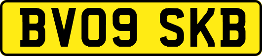 BV09SKB