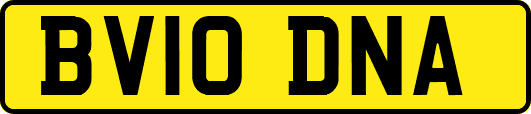 BV10DNA