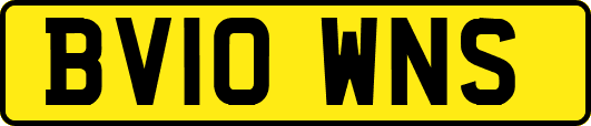 BV10WNS