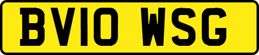 BV10WSG