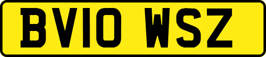 BV10WSZ