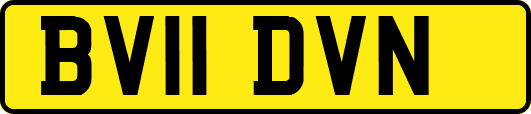 BV11DVN