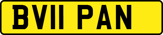 BV11PAN